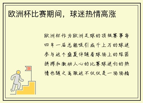 欧洲杯比赛期间，球迷热情高涨